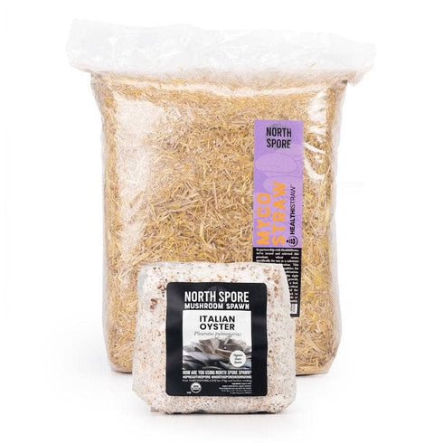 'MushBucket' Refill